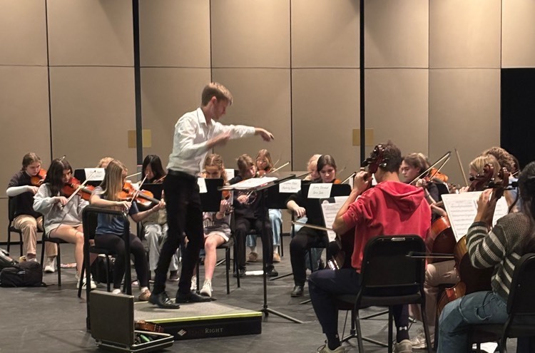 conductor and strings students