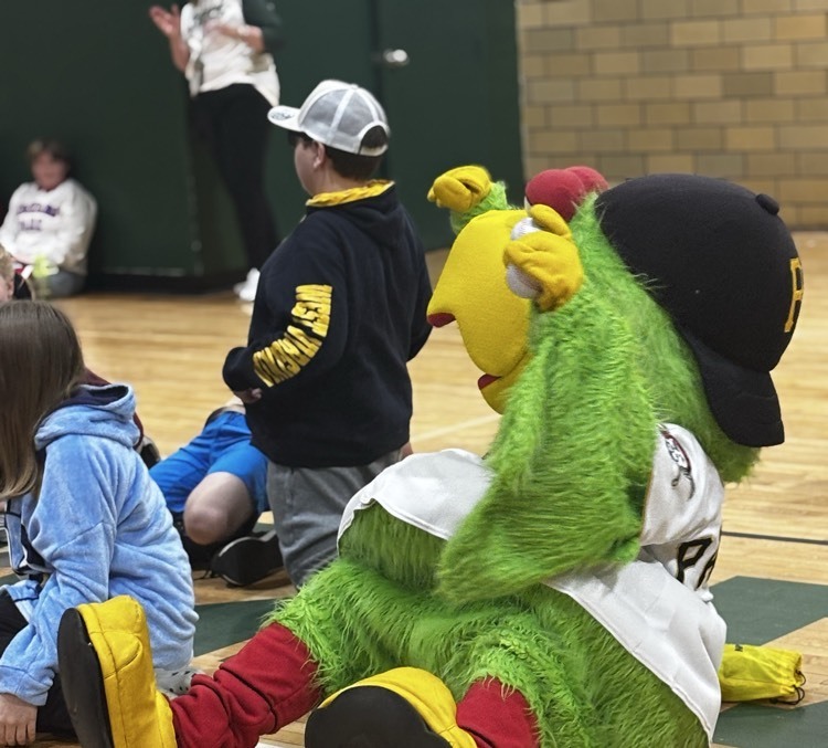 pirate parrot posing