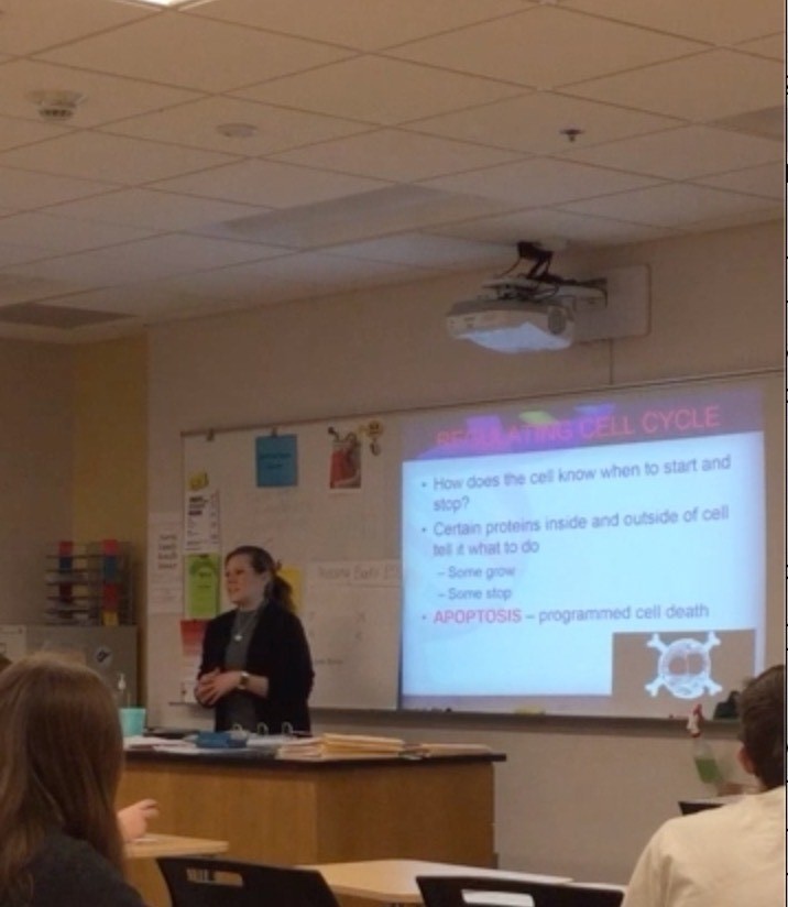 teacher instructing class 
