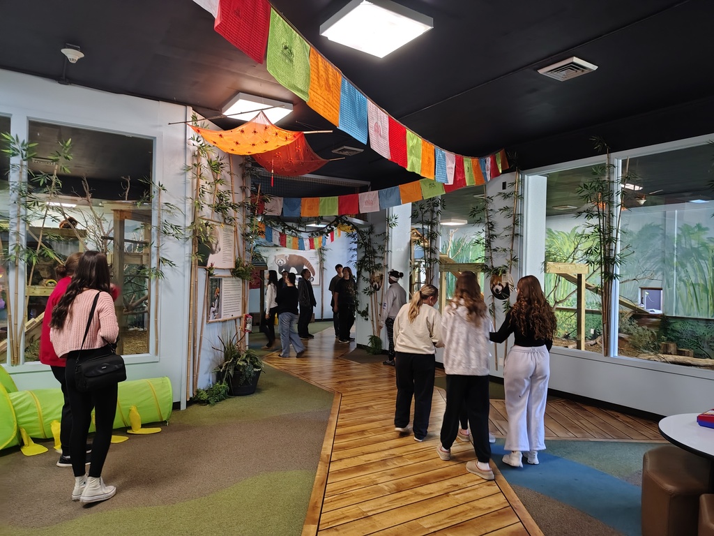 IMG_20251106_105821319_HDR