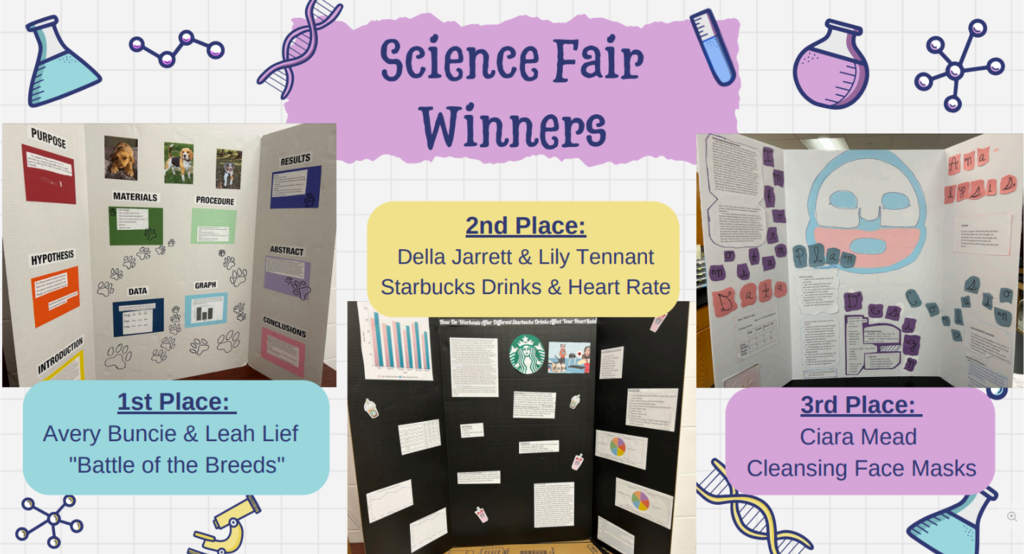 sci fair