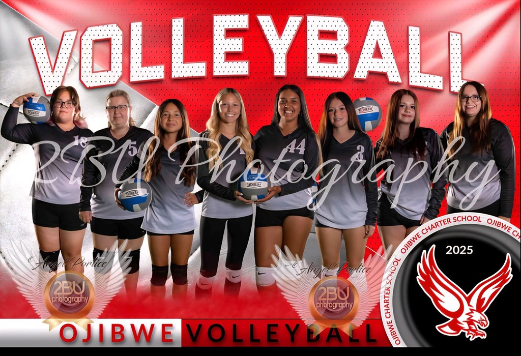 Volleyball districts 