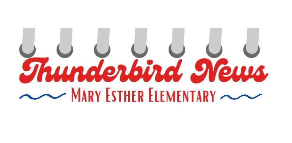 Thunderbird News