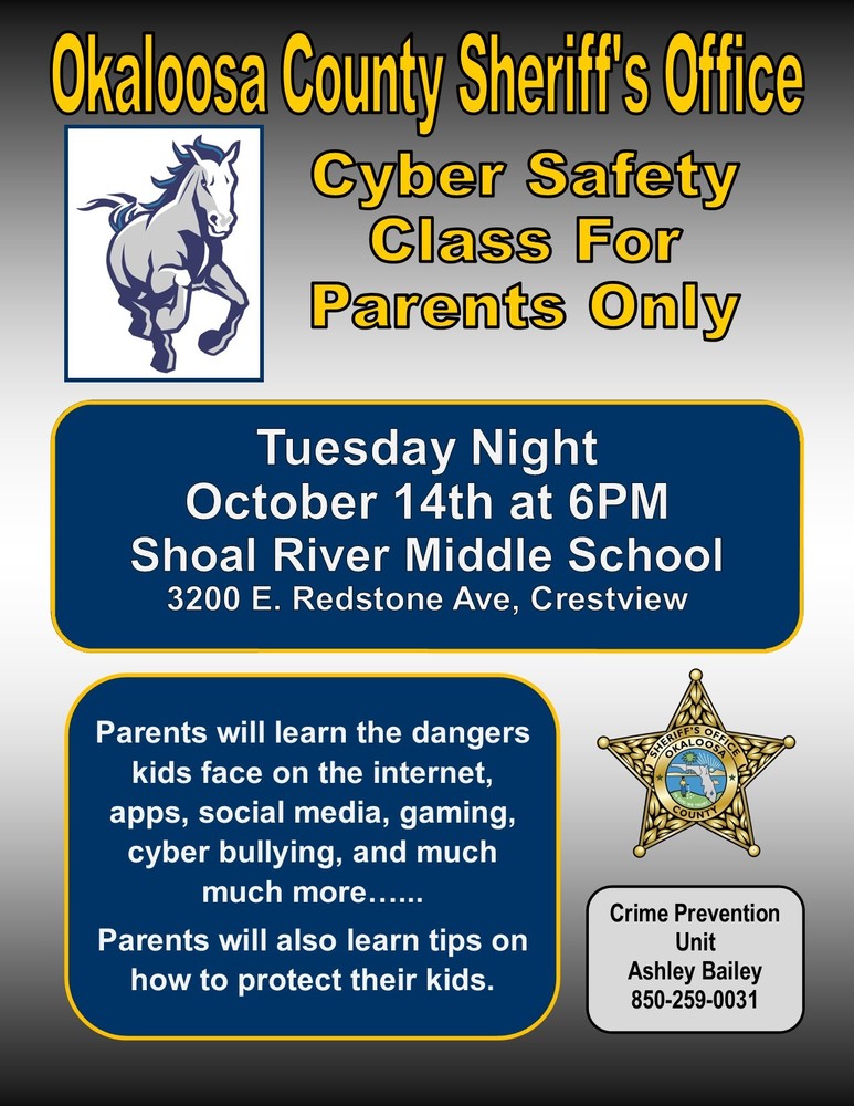 Cyber Safety