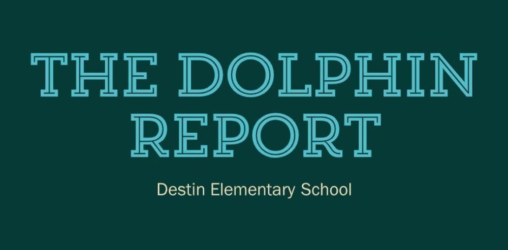 The Dolphin Report