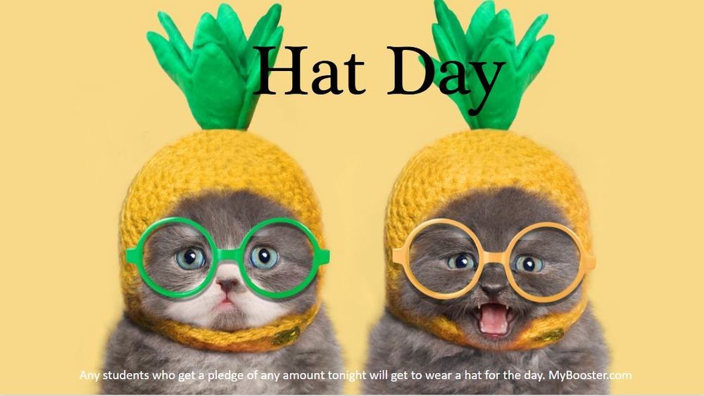 Hat Day. Two gray cats each wearing pineapple hats and glasses. Any students who get a pledge of any amount tonight will get to wear a hat for the day. MyBooster.com