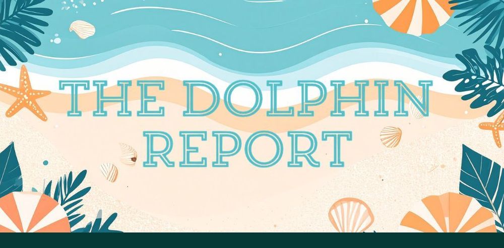 The Dolphin Report