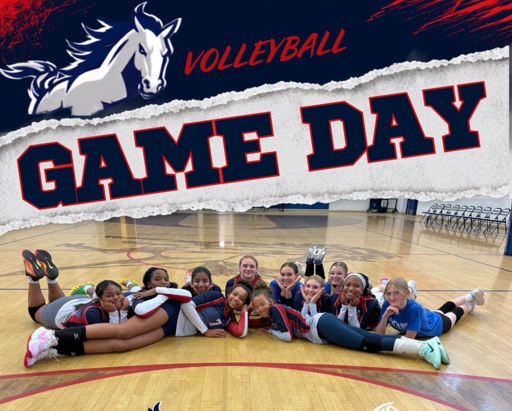 Mustang Volleyball