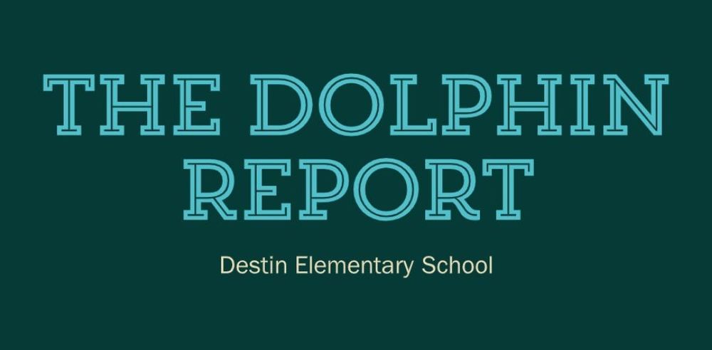 The Dolphin Report