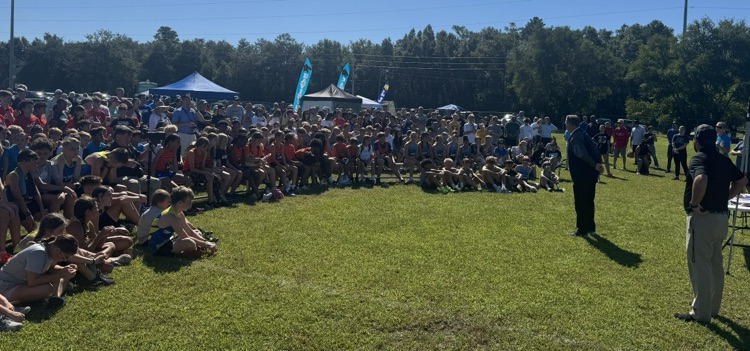 crowd