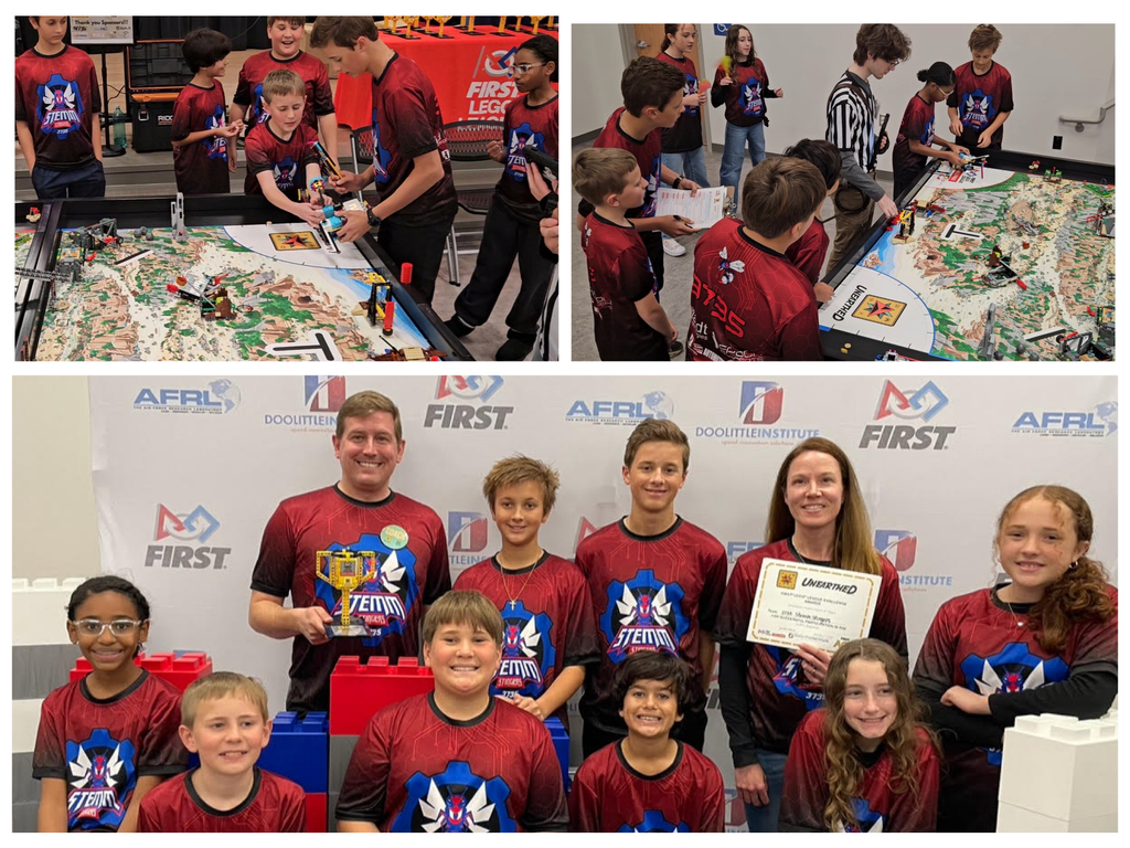 FLL STEMM Stingers! 