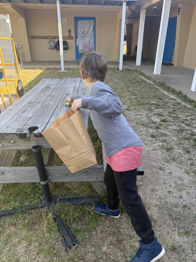 Student participating in a school egg hunt, searching for colorful eggs on the playground