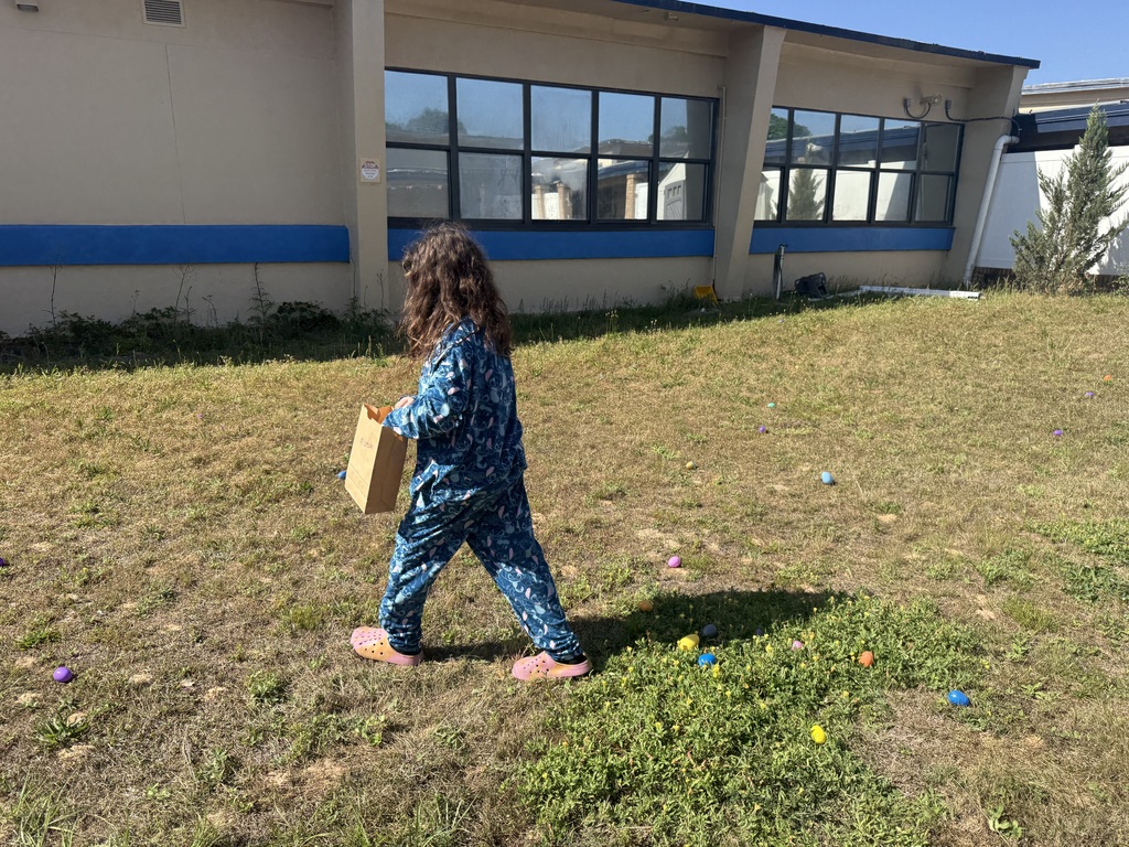 A Student participating in a school egg hunt, searching for colorful eggs on the playground.