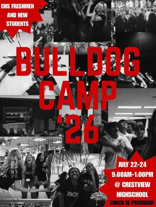 bulldog camp