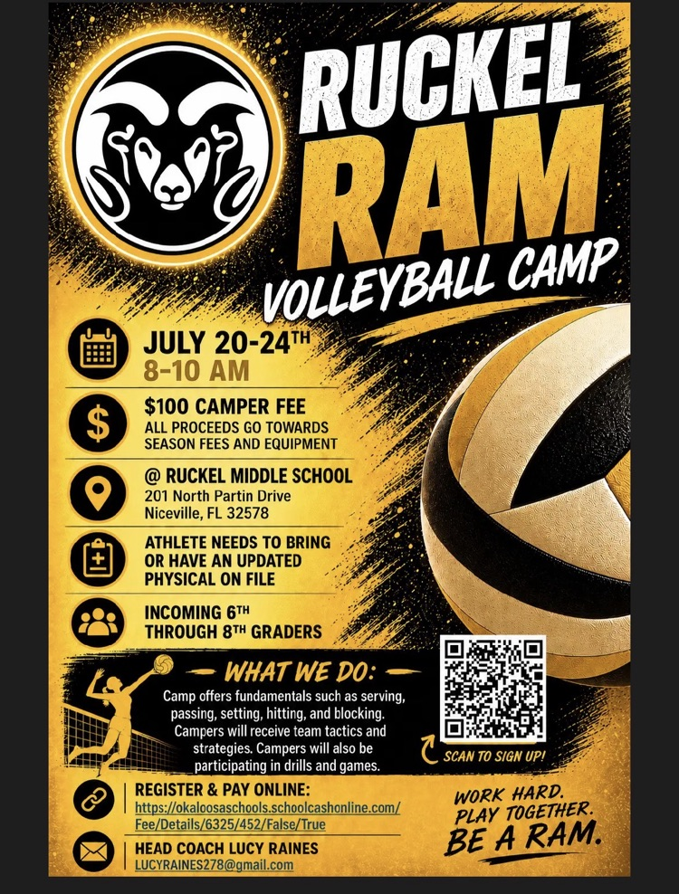 volleyball info