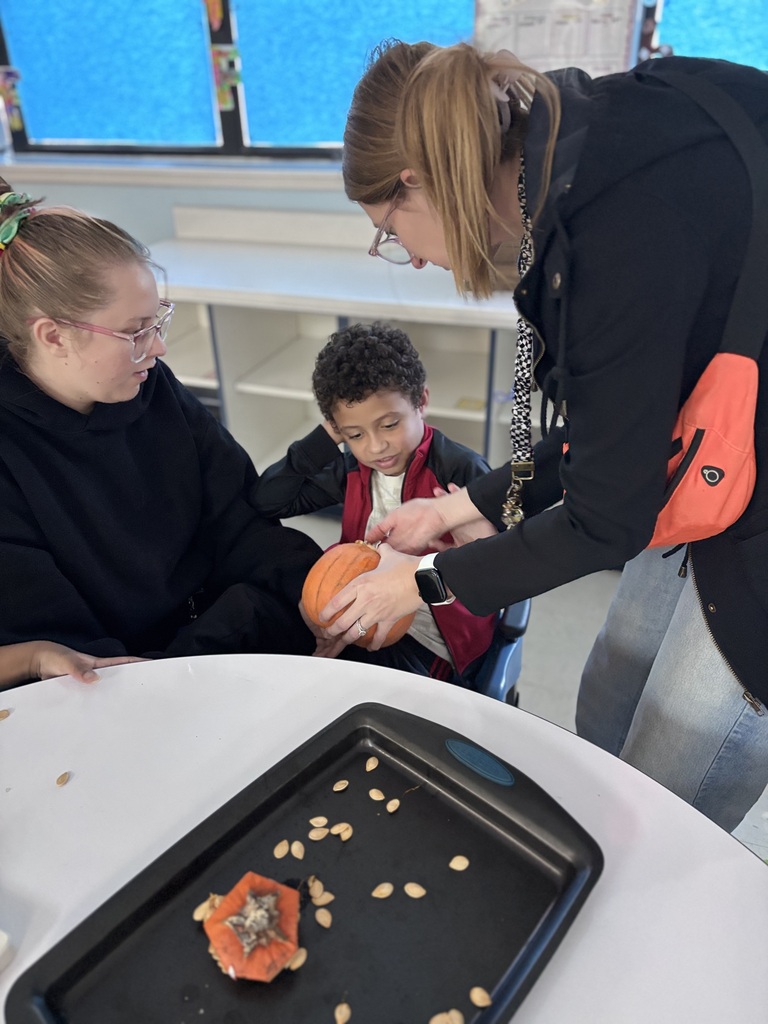 Student explores the inside of a pumpkin during a classroom sensory activity with support from educators. Pumpkin seeds are displayed on a tray nearby.