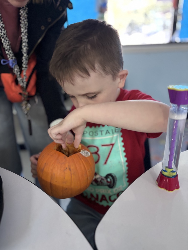Student reaches inside a pumpkin to explore its contents during a hands-on sensory and science activity in the classroom.