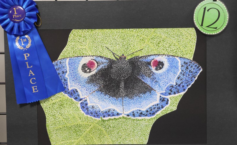 1st Place: Olivia McClain, Lewis School – Teacher: Ms. Lindsey Gafford  