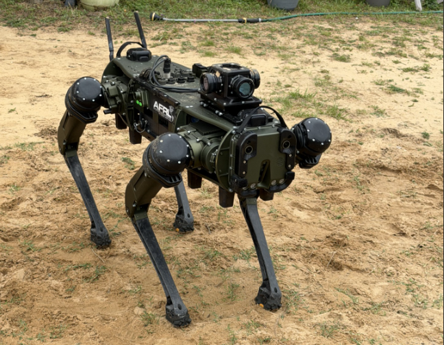 Robot Dog outside standing in the sand.