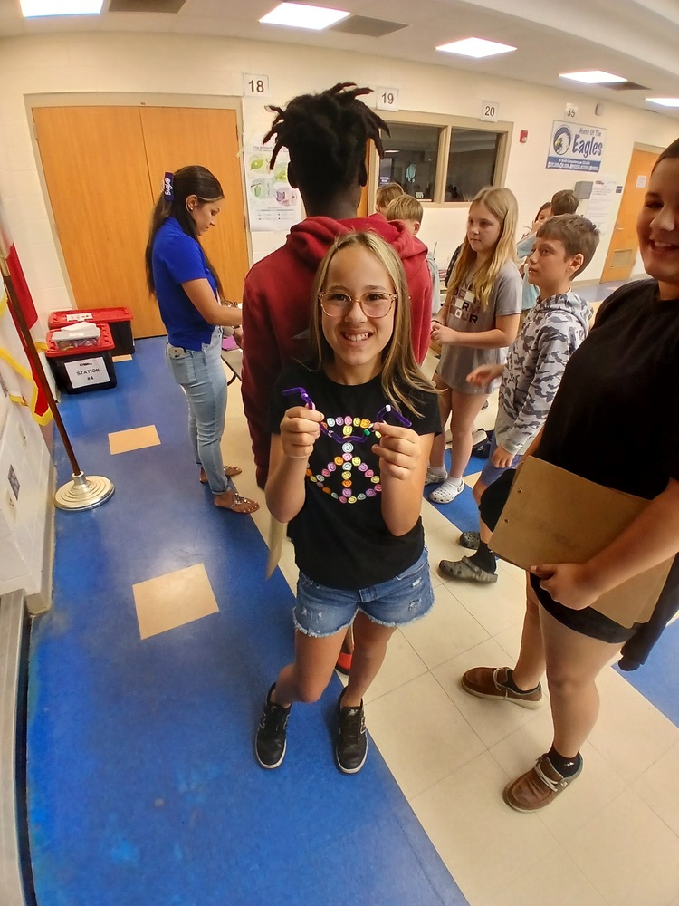 Stem Day