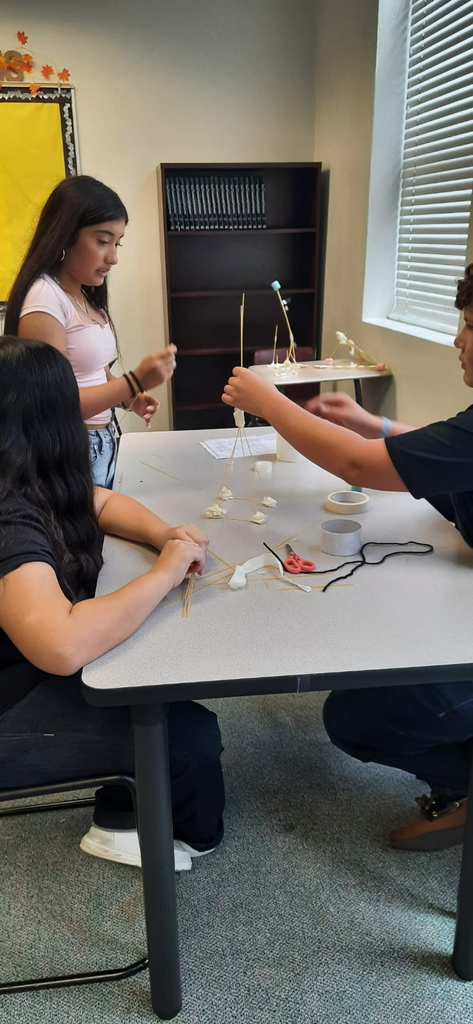 Science classroom marshmallow challenge 