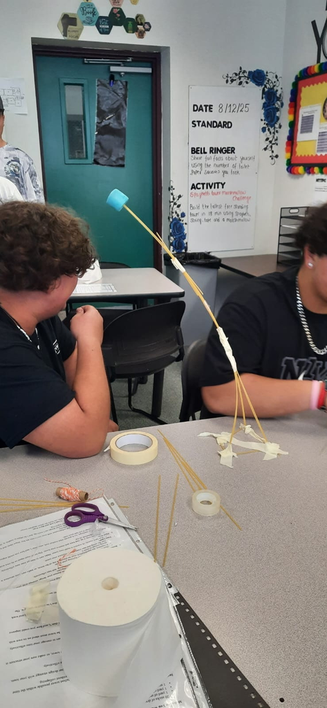 Science classroom marshmallow challenge 