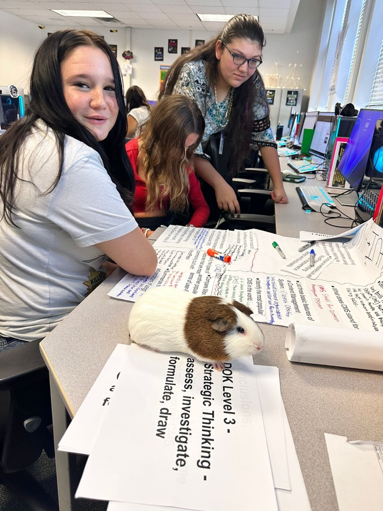students working on poster with guinea pig 