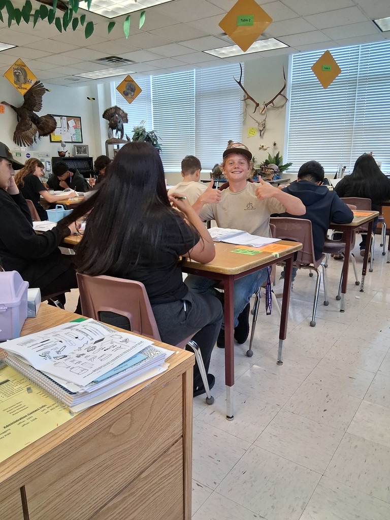 students working on lab equipment 
