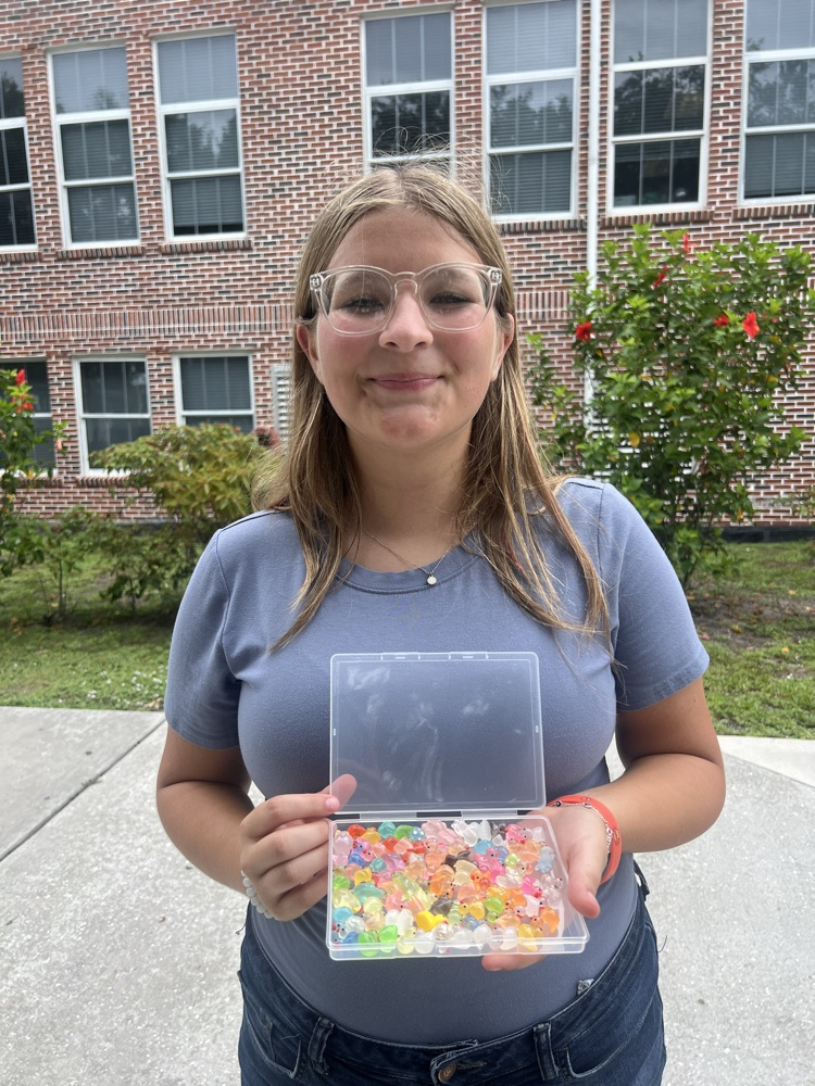 student showing little plastic animal toys 