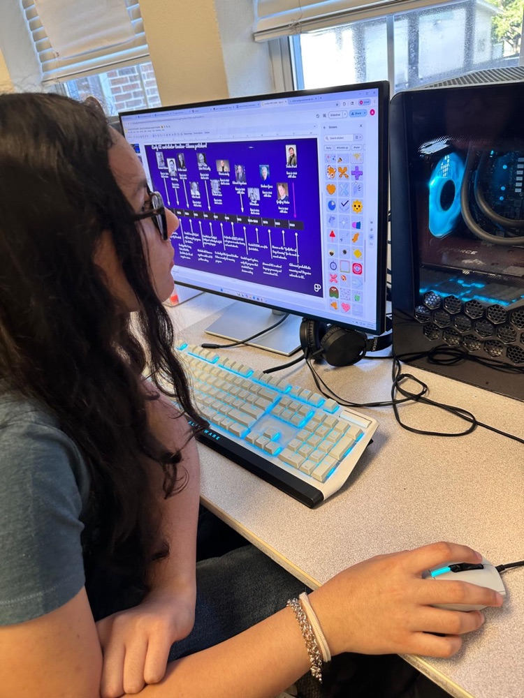 female student looking at computer