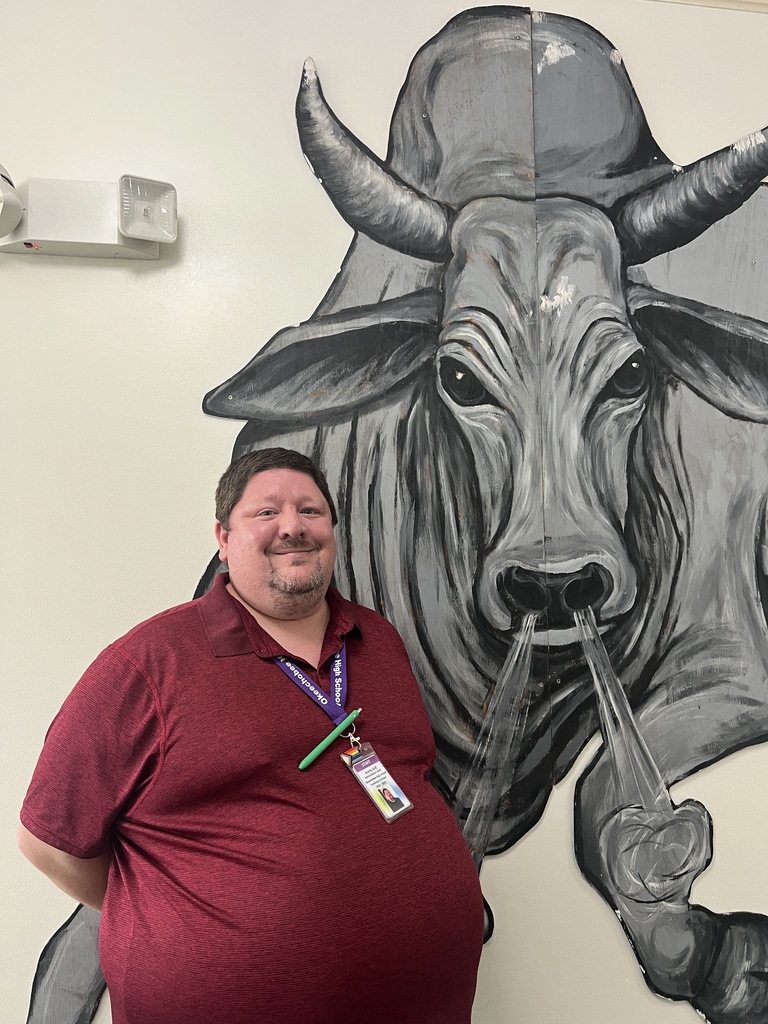 instructional coach Infront of a bull on the wall