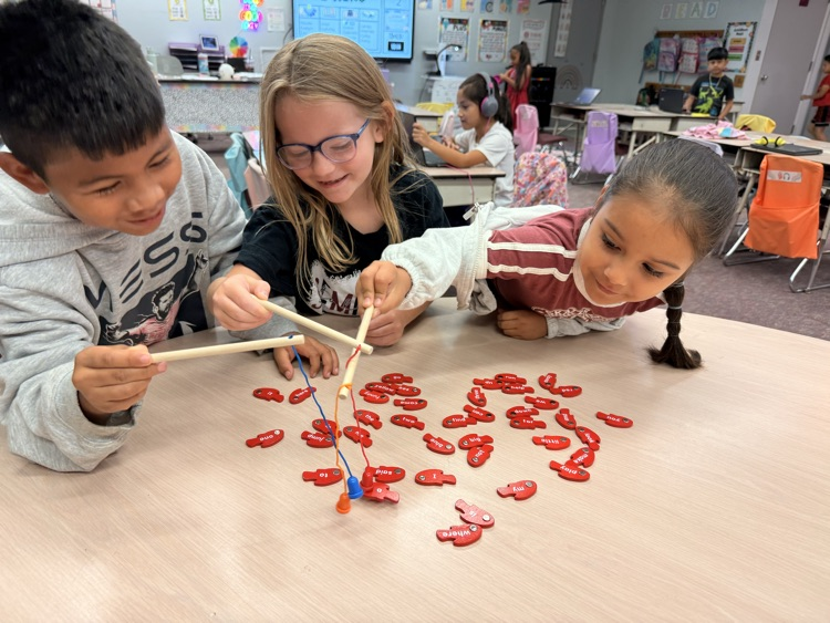 sight words