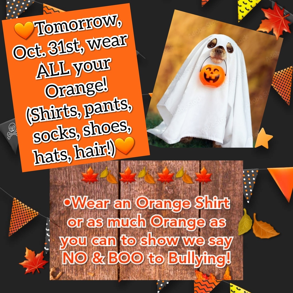 BOO to Bullying Day (Wear ALL your Orange!)