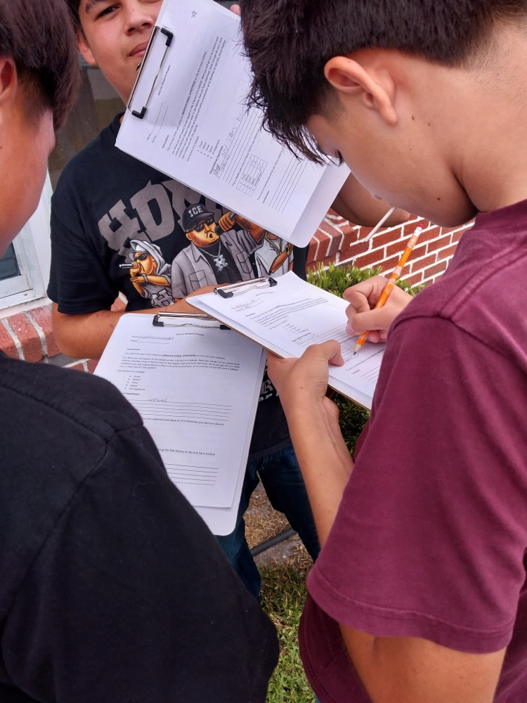 students writing In science worksheets