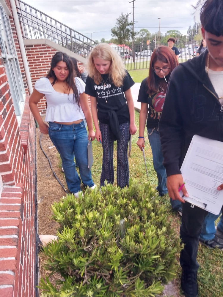 students looking for ant lions