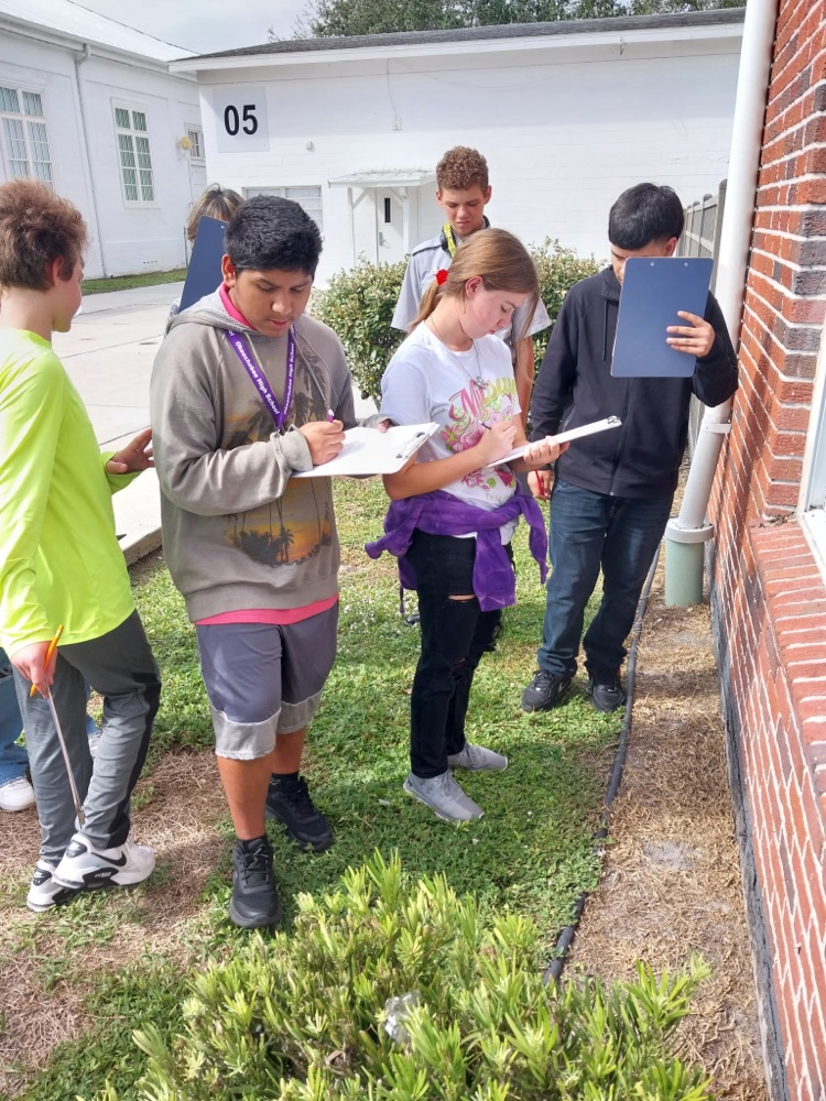 students looking for ant lions