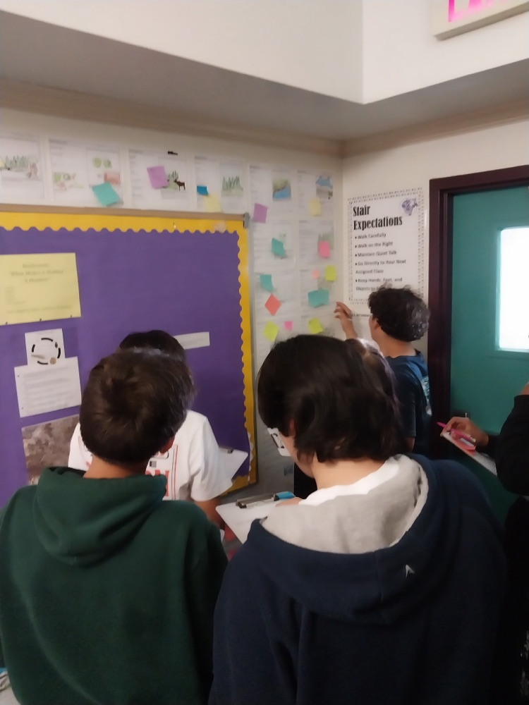 students looking at science papers hung on hallway