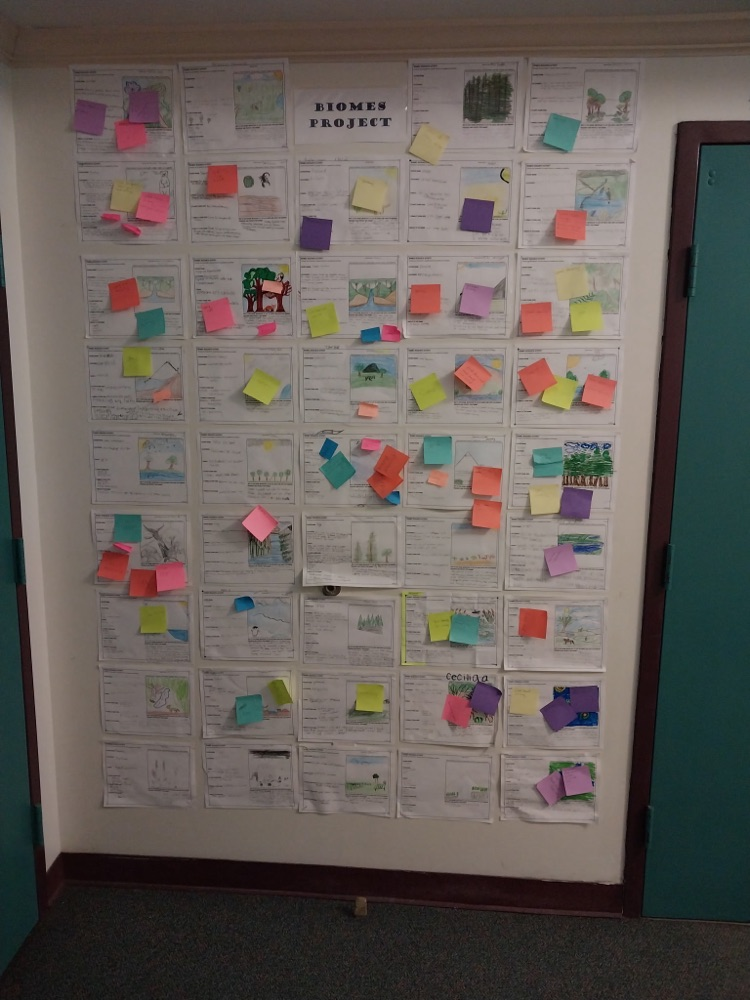 biomes project papers hung on hallway