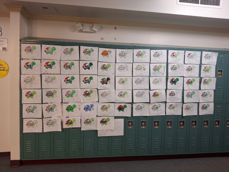 turtle drawings hung on lockers