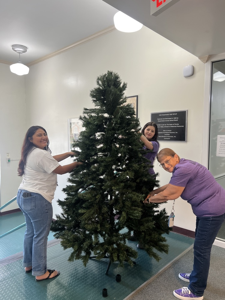 staff decorating Christmas tree