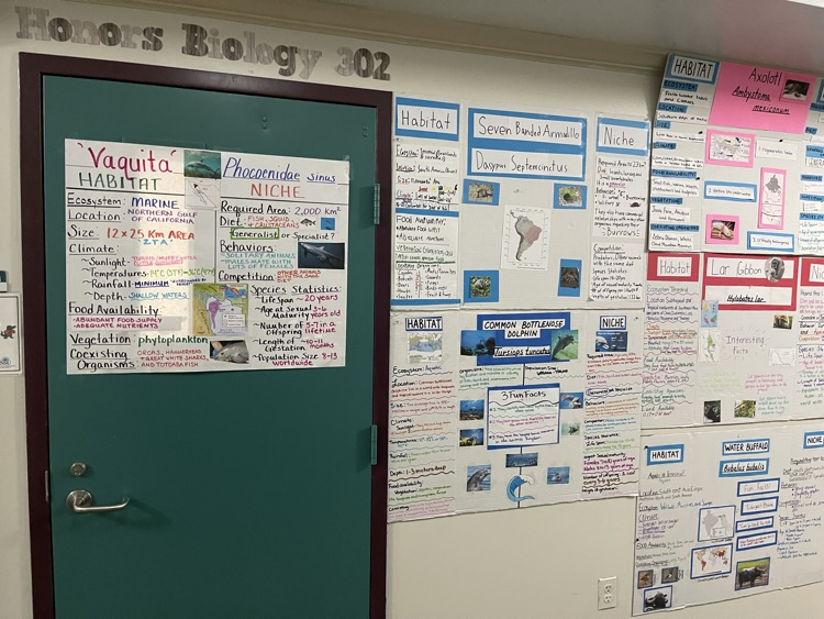 biology posters in hallway