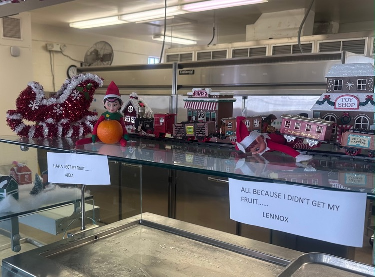 two elves on the shelf in school cafe