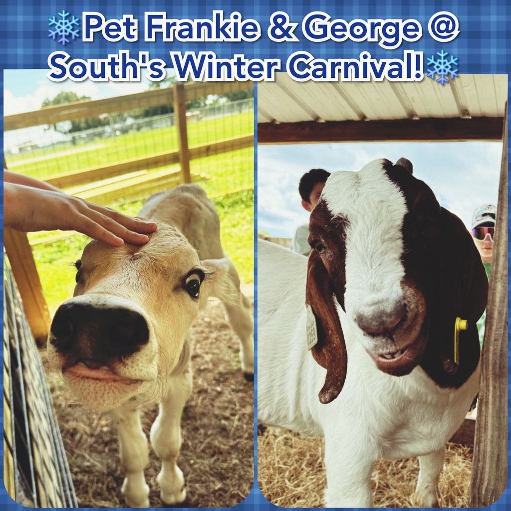 South's Winter Carnival