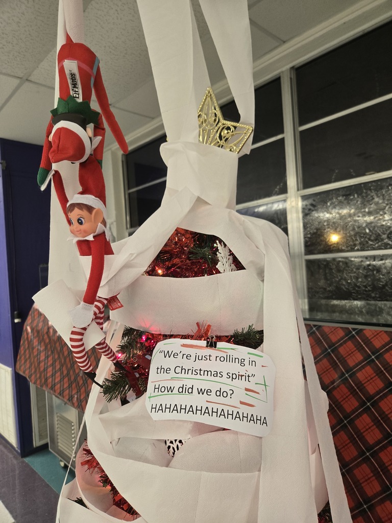 Christmas tree with toilet paper wrapped around it