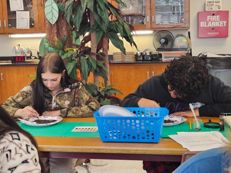 science students working