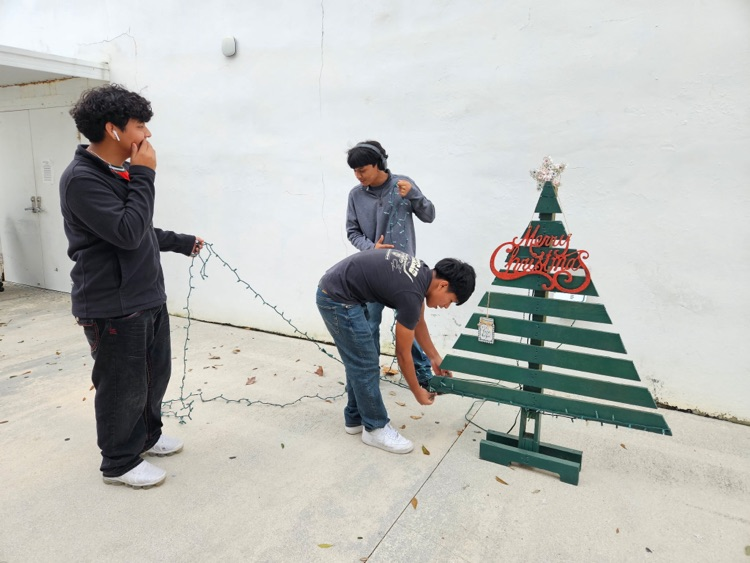 students decorating Christmas tree 