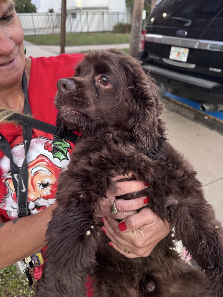 teacher holding puppy