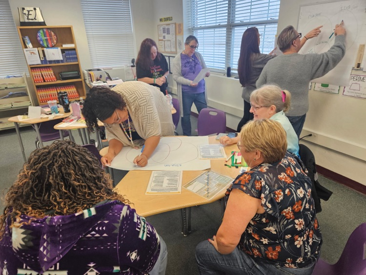 teachers in professional development