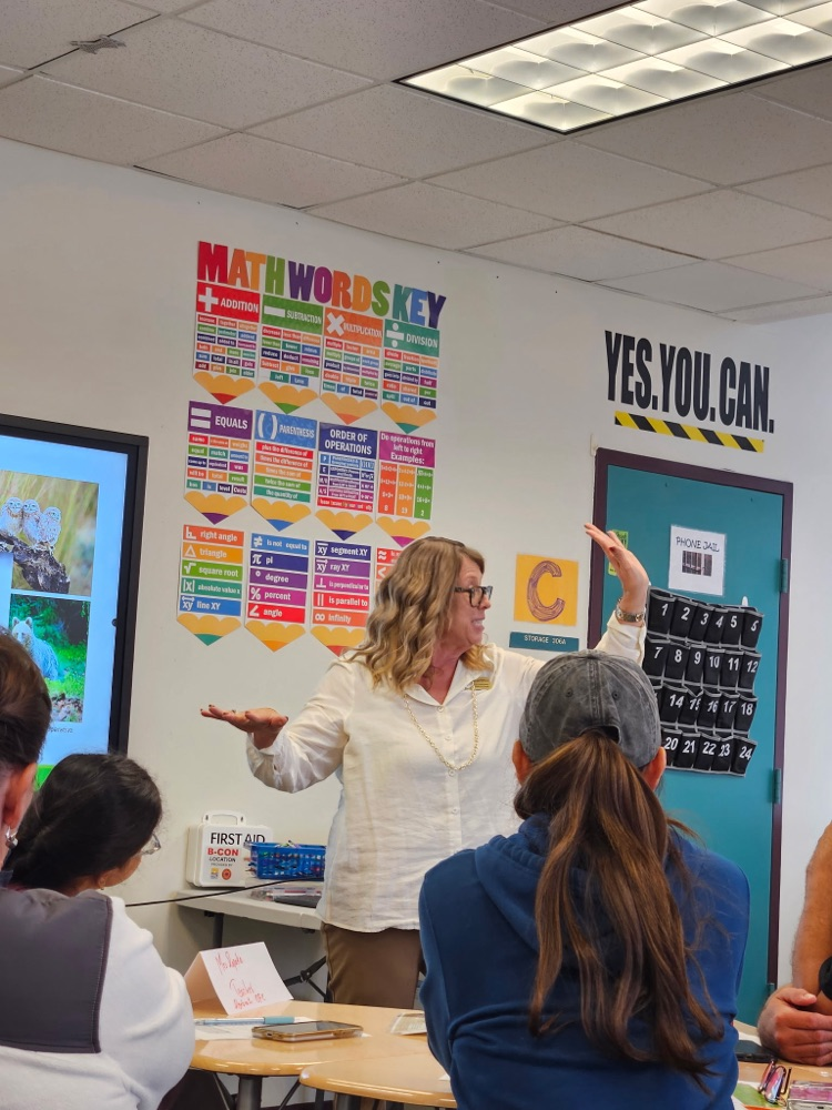 teachers in professional development