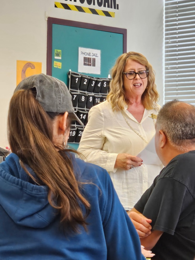 teachers in professional development